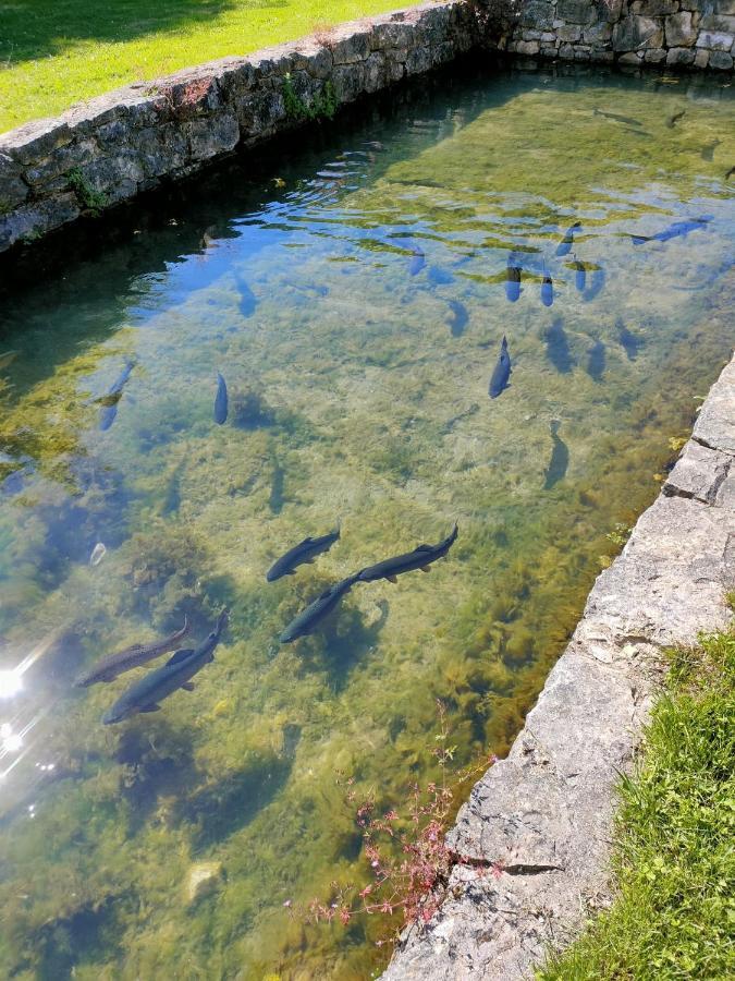 Les Pieds Dans L'Eau, Gite La Source Lachapelle-Auzac Exterior foto
